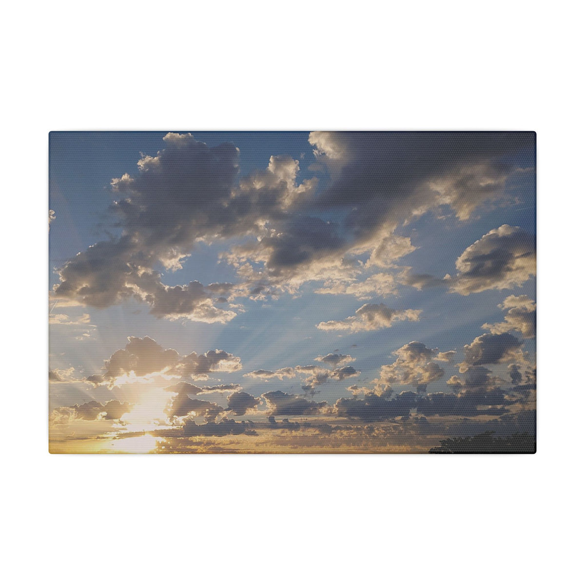Sun Set