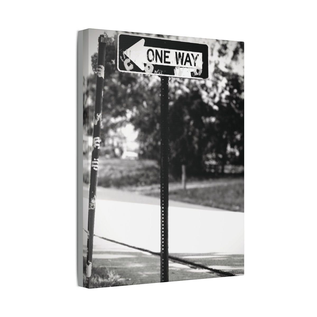 One Way Street (Youth of America
